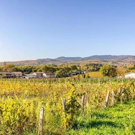 Apartmán Maisonnette Au Milieu De Vignes Saint-Etienne-des-Oullieres