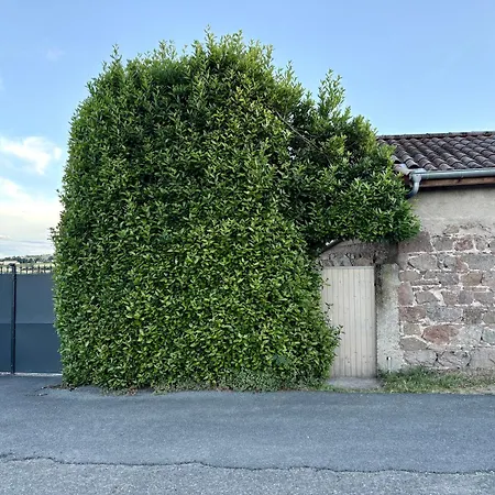 Διαμέρισμα Maisonnette Au Milieu De Vignes Saint-Etienne-des-Oullieres
